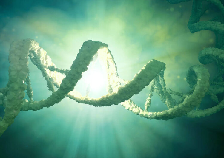 Scientists launch proposal to create synthetic human genome